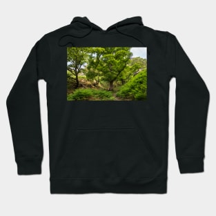 Kirk Close Woodland Hoodie